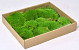 Cushion Moss light green (tray 27x32cm)