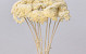 Bouquet Achillea Parker Demi-Blanchi 70cm