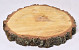 Birch Slice 33-37cm