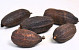 Cacao Pod Brun Séché 12-18cm