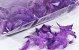 Feathers Purple 100gr.