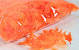 Feathers Orange 100gr.