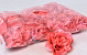 Roos D10cm Coral