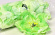 Pivoine D13cm Vert Clair
