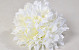Chrysantheme D16cm Creme