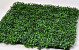 Boxwood mat 25x25cm