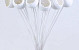 Bell Cup on 50cm stem white