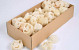 Luffa Slices Bleached 100gr.