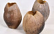 Kokosnuss Blumentopf 13cm
