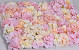 Flower Panel 60x40cm Pastel