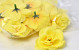 Mini Rose D5cm Jaune