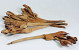 Nipa Palm Leaf 40-55cm