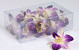 Orchid Sonia Purple White 20pcs