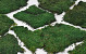 Mousse Plate Vert Forêt pro Kg