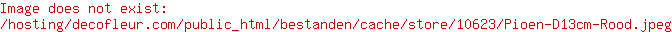 Pioen D13cm Rood