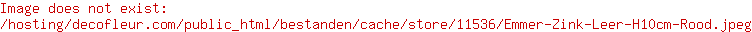 Bucket Zinc Leather H10cm Red