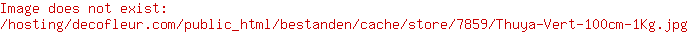 Conifeer Groen 100cm 1kg