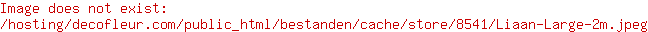 Liaan Large 2m
