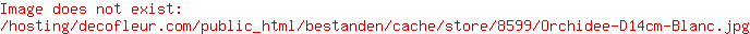 Orchidee D14cm Wit