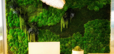 Make your own moss wall