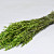 Bouquet Avoine Vert 70cm