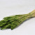 Triticum Green (wheat) 70cm