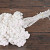 Immortelle du Var Blanc 30cm 