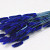 Lagurus Blauw 60cm