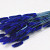 Lagurus Blue 60cm