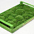 Cushion Moss Forest Green (Crate 38x58cm)