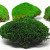 Cushion Moss Dark Green Sample