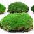 Cushion Moss light Green Sample