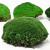 Boule de mousse Vert Forêt échantillon