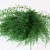 Air Fern Mosgroen 15cm 5-Pack