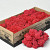 Rendiermos Rood 500gr.
