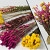 DIY Bouquet de Fleurs Sechées Jaune/Rose XL