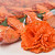 Artificial Carnation Orange D9cm 
