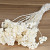Bouquet Achillea Small Blanchi 70cm