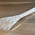 Typha Blanchi 100pcs 