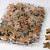 Noix de Coco Etoile Naturel 3cm 100pcs