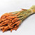 Triticum Orange (wheat) 70cm
