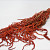 Hang Amaranthus Rood 60cm