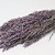 Bouquet Avoine Violet 70cm