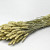 Bouquet Triticum (Blé) 70cm