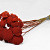 Achillea Parker Rood 70cm