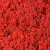 Lichen stabilisé Rouge par kg