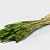 Triticum Green (wheat) 70cm