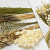 DIY Dried Flower Bouquet White/Natural XL