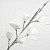 Foam Magnolia Wit, D 18cm