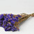 Statice Sinuata Dark Violet